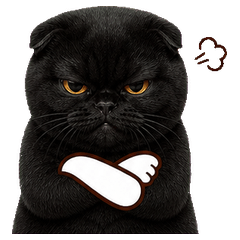 Black Scottish Cat Hands (EN)