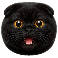 Black Scottish Cat Emoji Many Moods 43