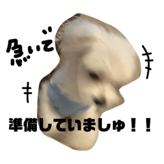 mA_20260604184148