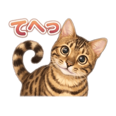 kyoko&suppy_20260604191636