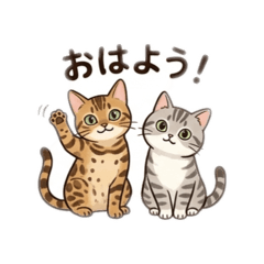 kyoko&suppy_20260604201127