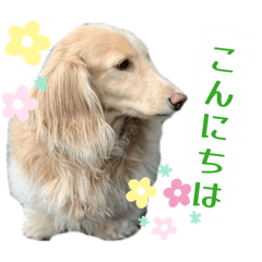 Love Mariko