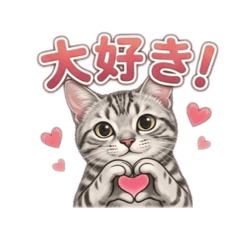 kyoko&suppy_20260604195834