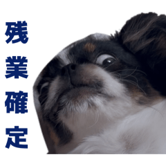 Unimaru_20260604221016