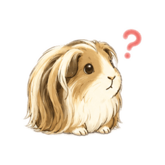 hachi moru_20260604225642