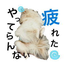 mai87_20260604231741
