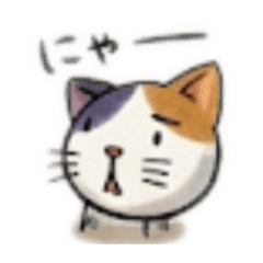 kuro_20260605074905