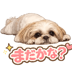 hiroking_20260605073144