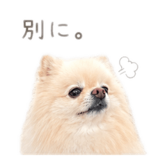naa_20260605093609