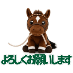 Pony Pals: Equestrian Life
