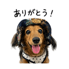 sa-yan_20260605160327