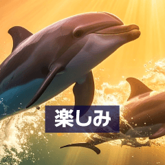 背景が動く！水中熱帯魚・海の生き物たち