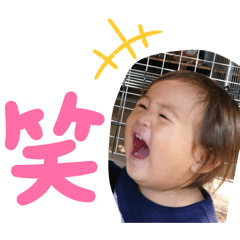 SHIN_20260611
