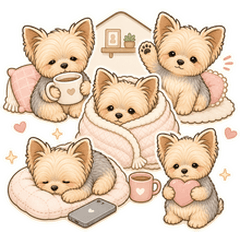 Cozy Alone Time Yorkie