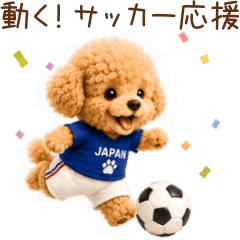 Soccer Cheer Toy Poodle
