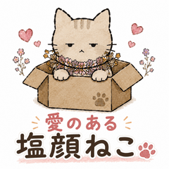 The Lovable Salt-Faced Cat
