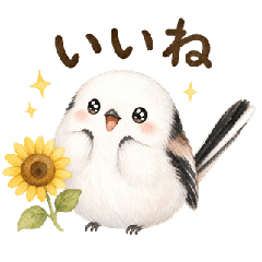 Long-tailed tit and sunflowers