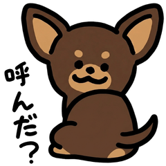 20260613dog