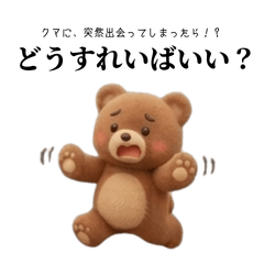 【应对方法】如果突然遇到熊该怎么办？