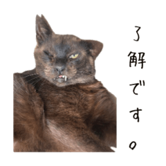 kurosuke_20260603181013