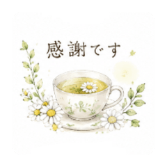 yohaku_20260611200301