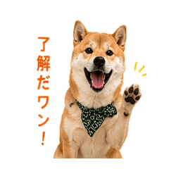Shiba Inu Mugi Stickers vol.1