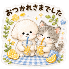 Plump and fluffy dogs and cats in summer
