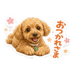 MOFU Toy Poodle Daily Life Stickers