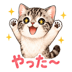 Mackerel Tabby - My Pet Series