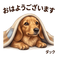 Ducky Fun Stickers Vol01