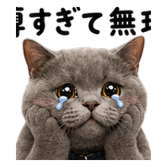 Haiemon Fandom Life