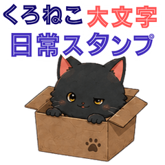 Black Cat Enjoying Hobbies