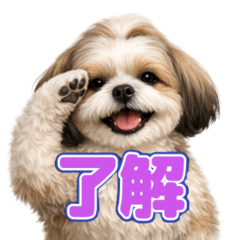 一番使える！シーズースタンプ