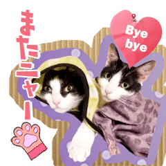 Cute Nyans II