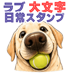 Big-Nose Labrador Daily Stickers