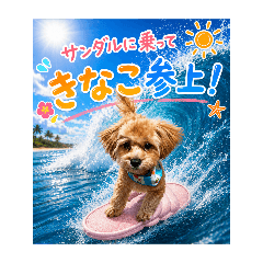 Kinako wonderland2