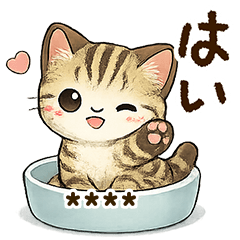 キジトラねこ☆【カスタム】
