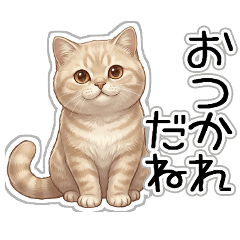 普通に使える♪ねこちゃん文字入り