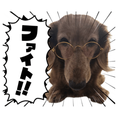 i.n_20260615215354