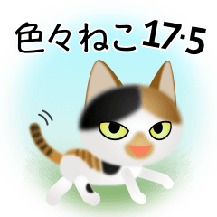色々な猫17-5 短毛-立ち耳-三毛 高貴