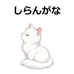 土耳其安哥拉貓動畫真心話 Z024