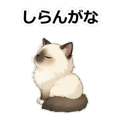 伯曼貓動畫真心話 Z023