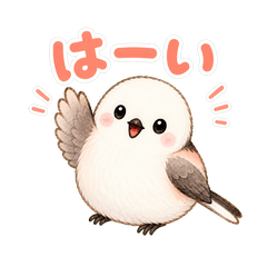 Everyday Fluffy Long-tailed Tit