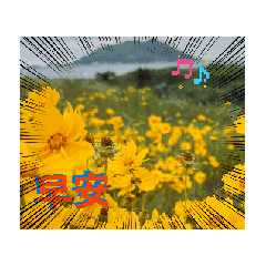 人生最愛