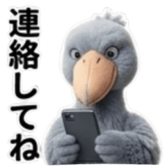 Daily Tips: The Shoebill's Musings