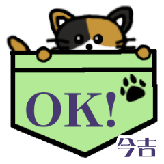 Imayoshi's Pocket Cat's