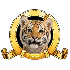 Moves! Little Tiger