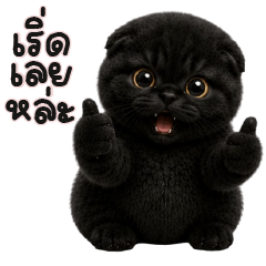 Black Cat Short