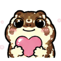 Wiggle Butt Desert Rain Frog