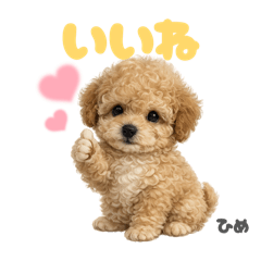 DOG STAMP ORDER_20260616125129